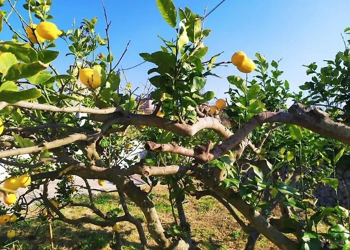 Dom wakacyjny Casa Al Tramonto...sunset Lovers Retreat Lipari (Isola Lipari)